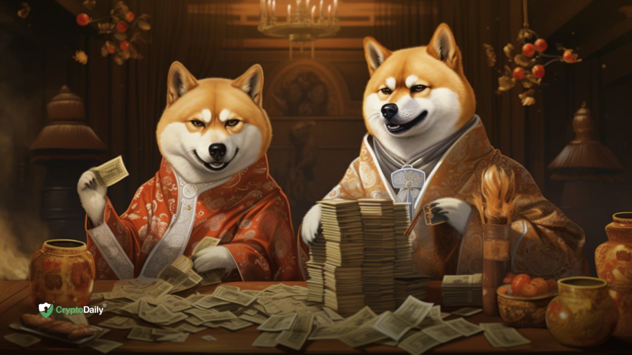 Shiba sale inu playing